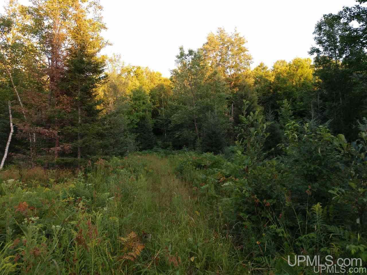 80-acres Old CC Road Vulcan, MI 49892 - Photo 21 of 24