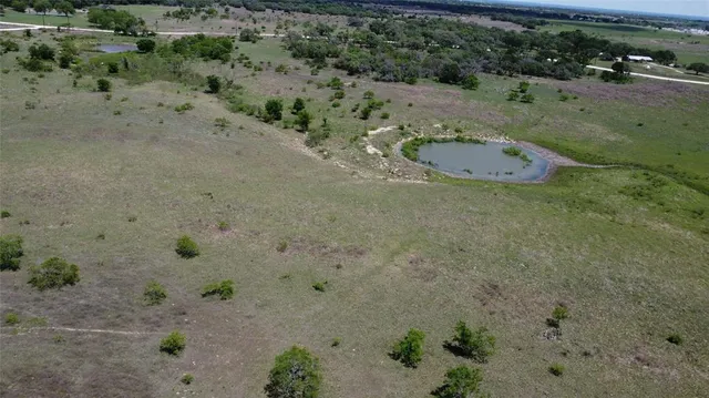 a view of a dry yard with large trees