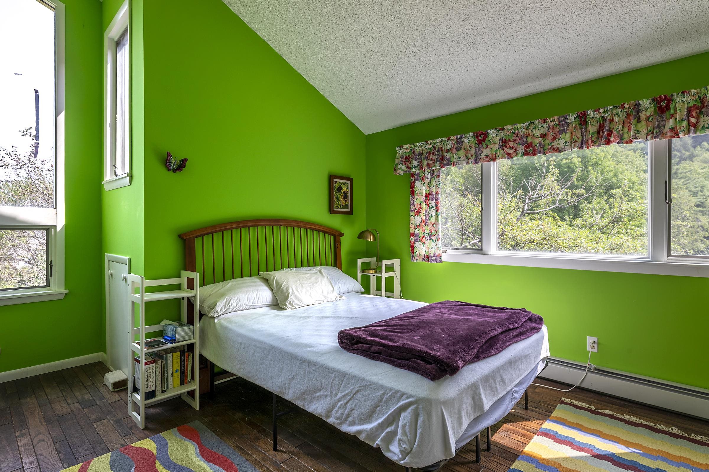 1175 South End Road Mount Tabor, VT 05739 - Photo 32 of 55 Gallery Image 32