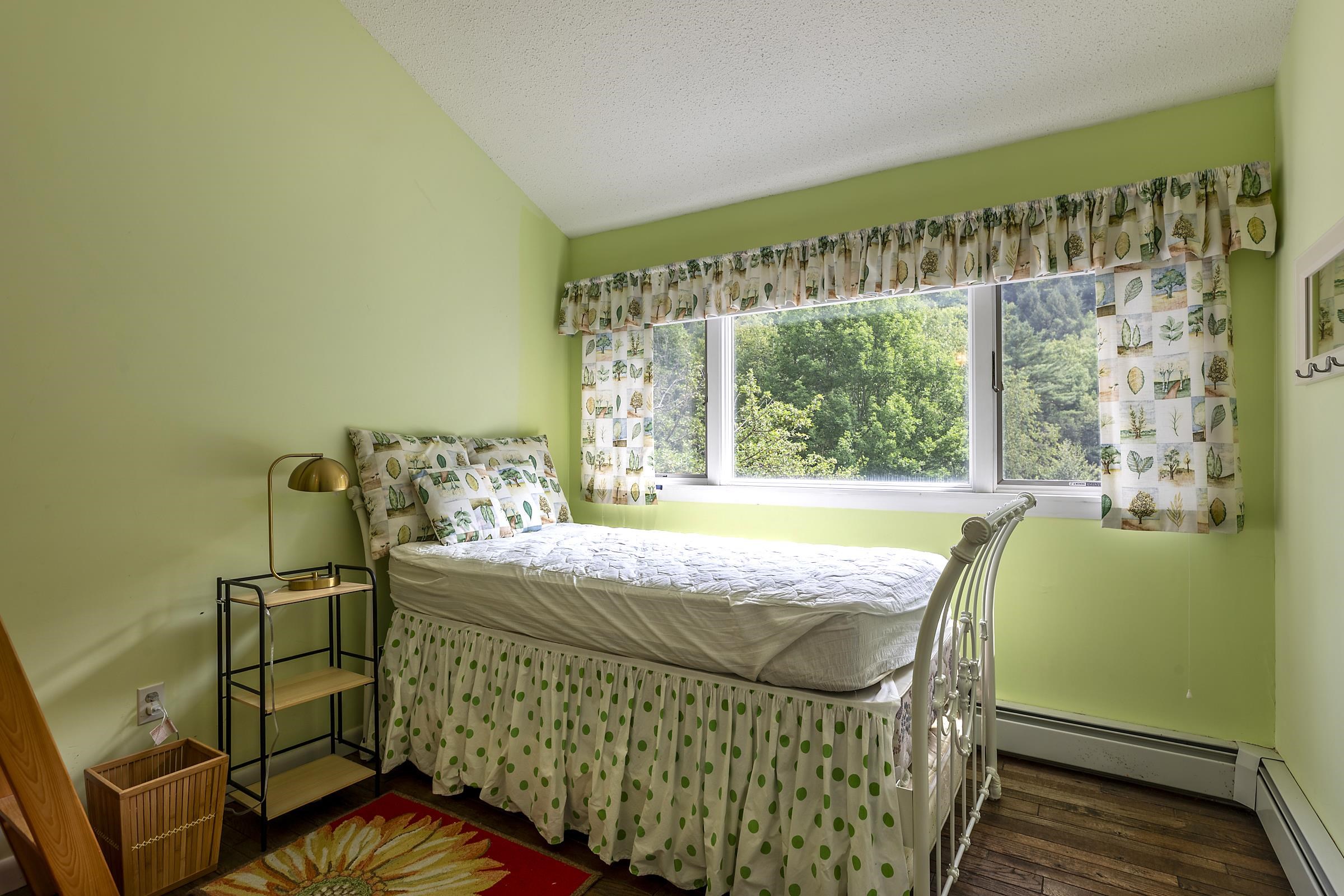 1175 South End Road Mount Tabor, VT 05739 - Photo 33 of 55 Gallery Image 33