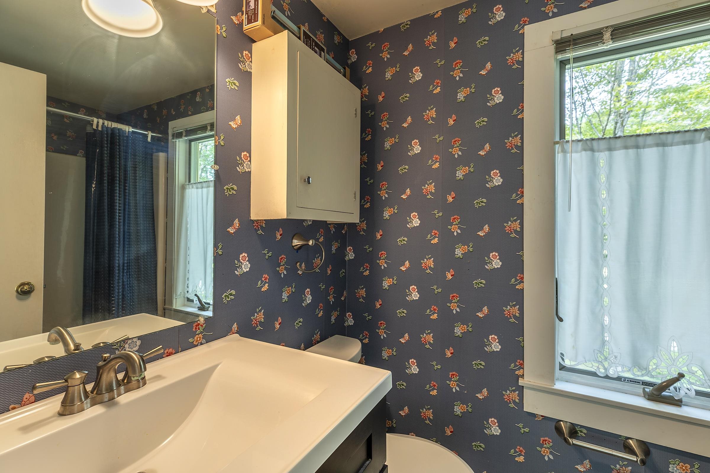 1175 South End Road Mount Tabor, VT 05739 - Photo 40 of 55 Gallery Image 40