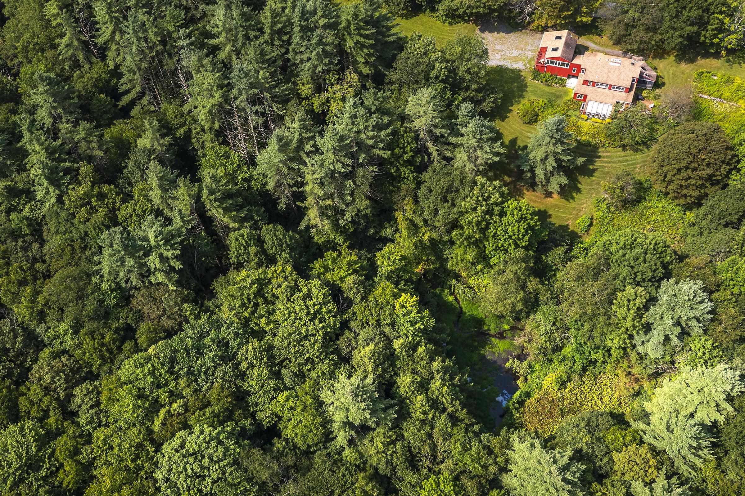 1175 South End Road Mount Tabor, VT 05739 - Photo 55 of 55 Gallery Image 55