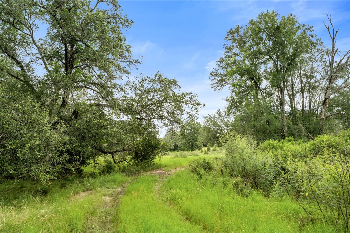8413 Mach Road La Grange, TX 78945 - Photo 10 of 40