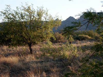 0 Oberlon Road Cochise, AZ 85606 - Photo 5 of 5