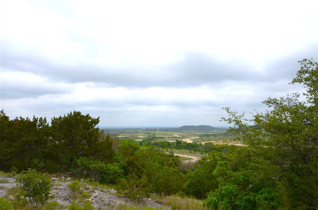 1239 Hidden Rock Road Glen Rose, TX 76043 - Photo 7 of 16 a view of a bunch of trees