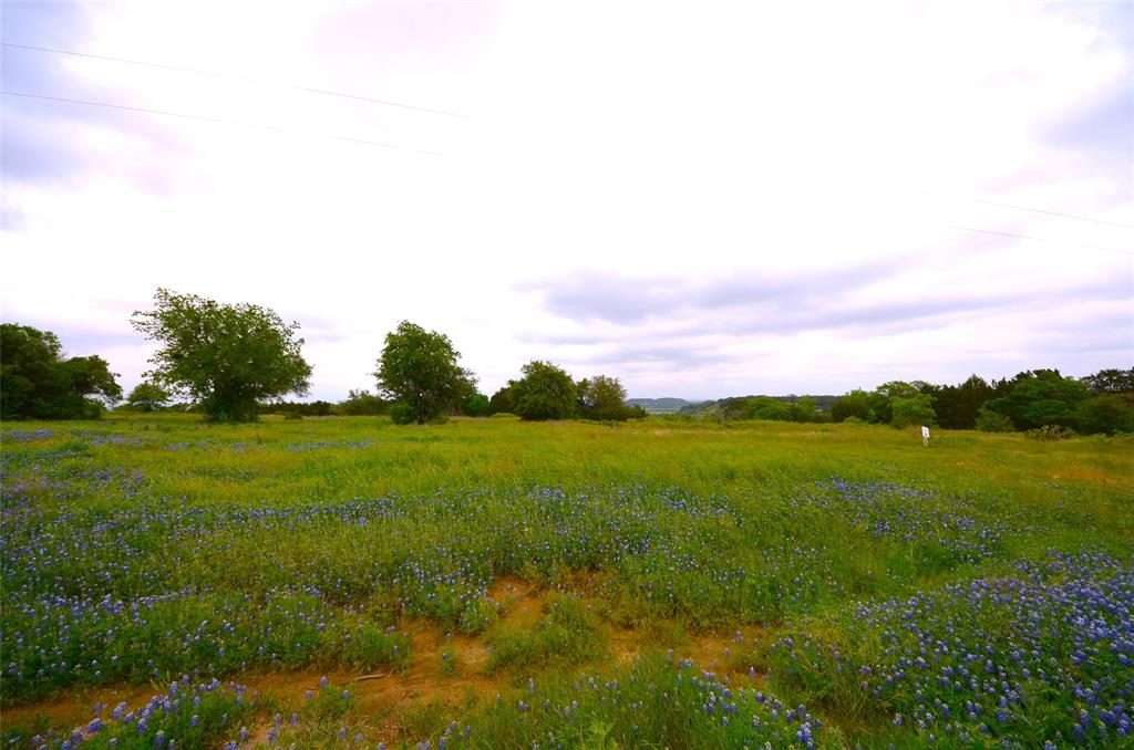1239 Hidden Rock Road Glen Rose, TX 76043 - Photo 10 of 16 a view of a green field with sitting space
