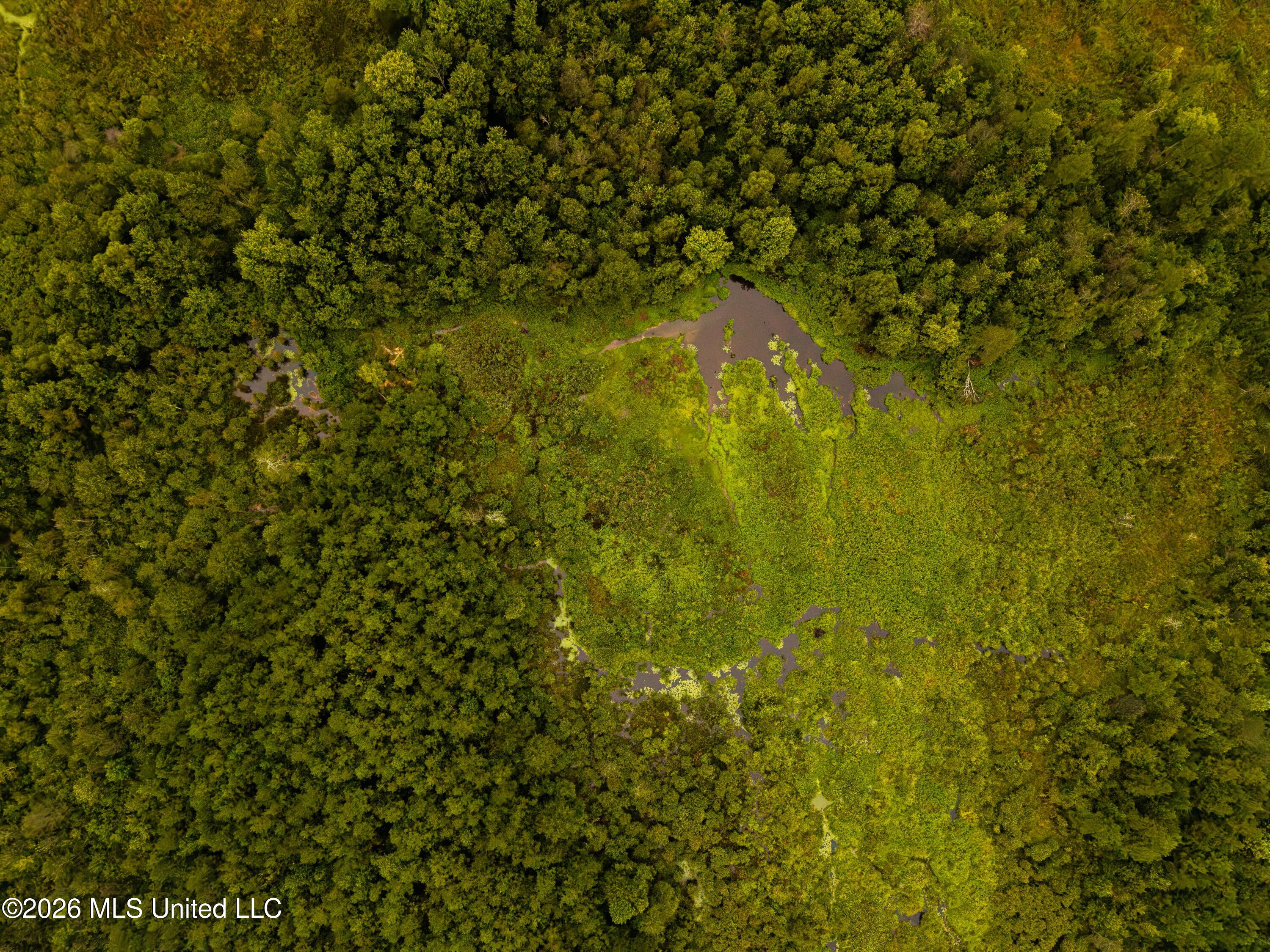 Lawrence Hazel Road Newton, MS 39345 - Photo 5 of 11 DJI_20260827112620_0010_D