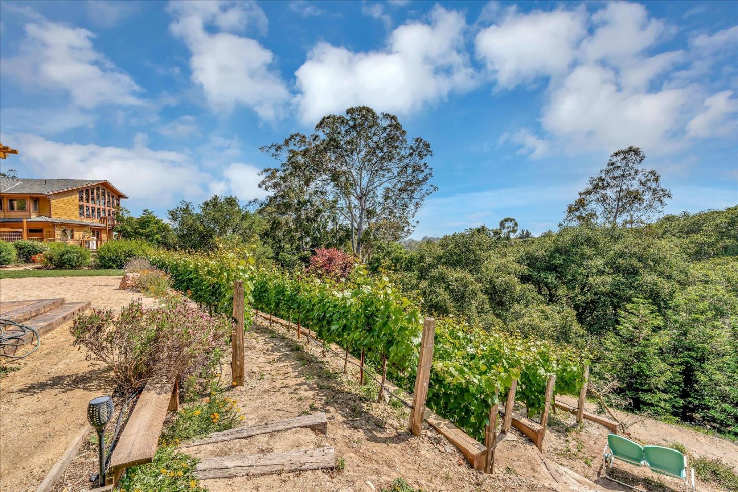 521 Amigo Road Soquel, CA 95073 - Photo 37 of 39 a view of a pathway both side of building