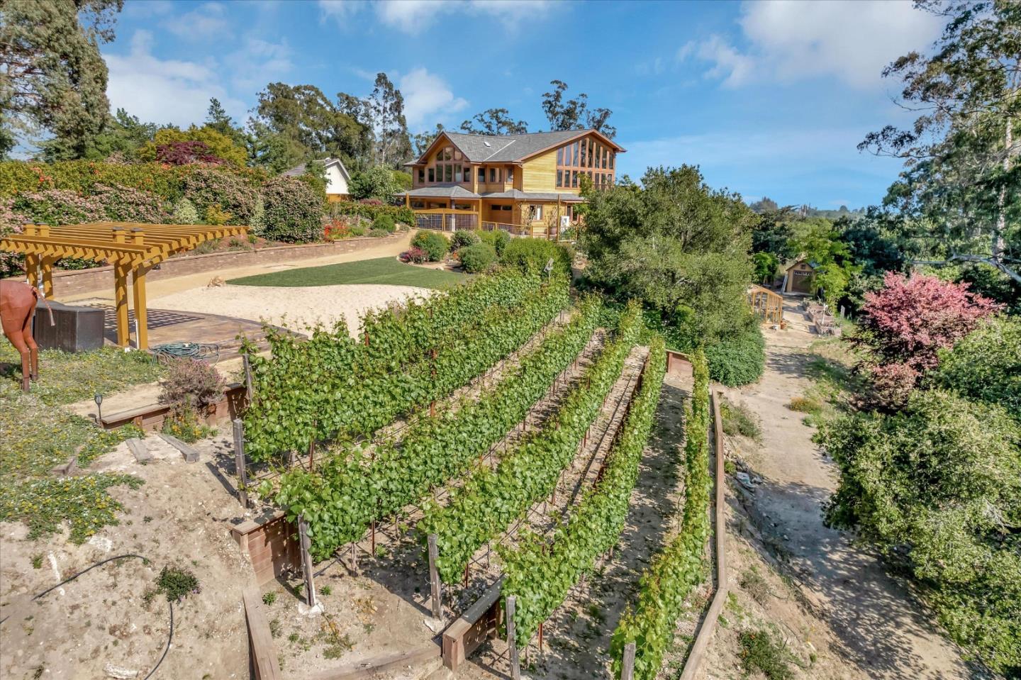 521 Amigo Road Soquel, CA 95073 - Photo 38 of 39 a view of a yard with plants and large trees