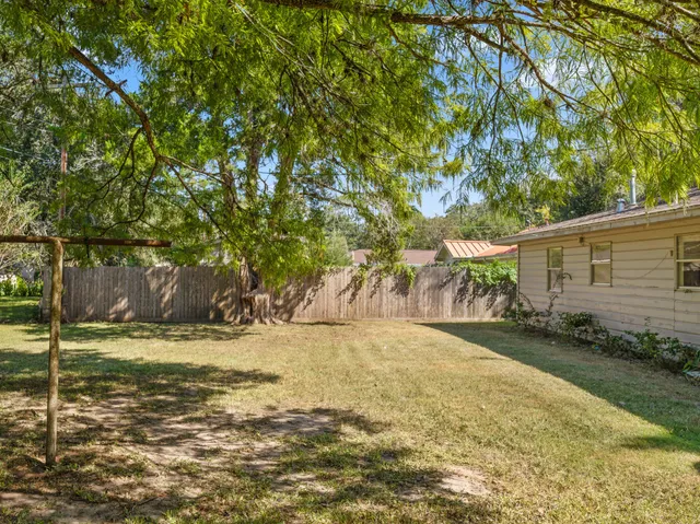 a view of a yard with plants