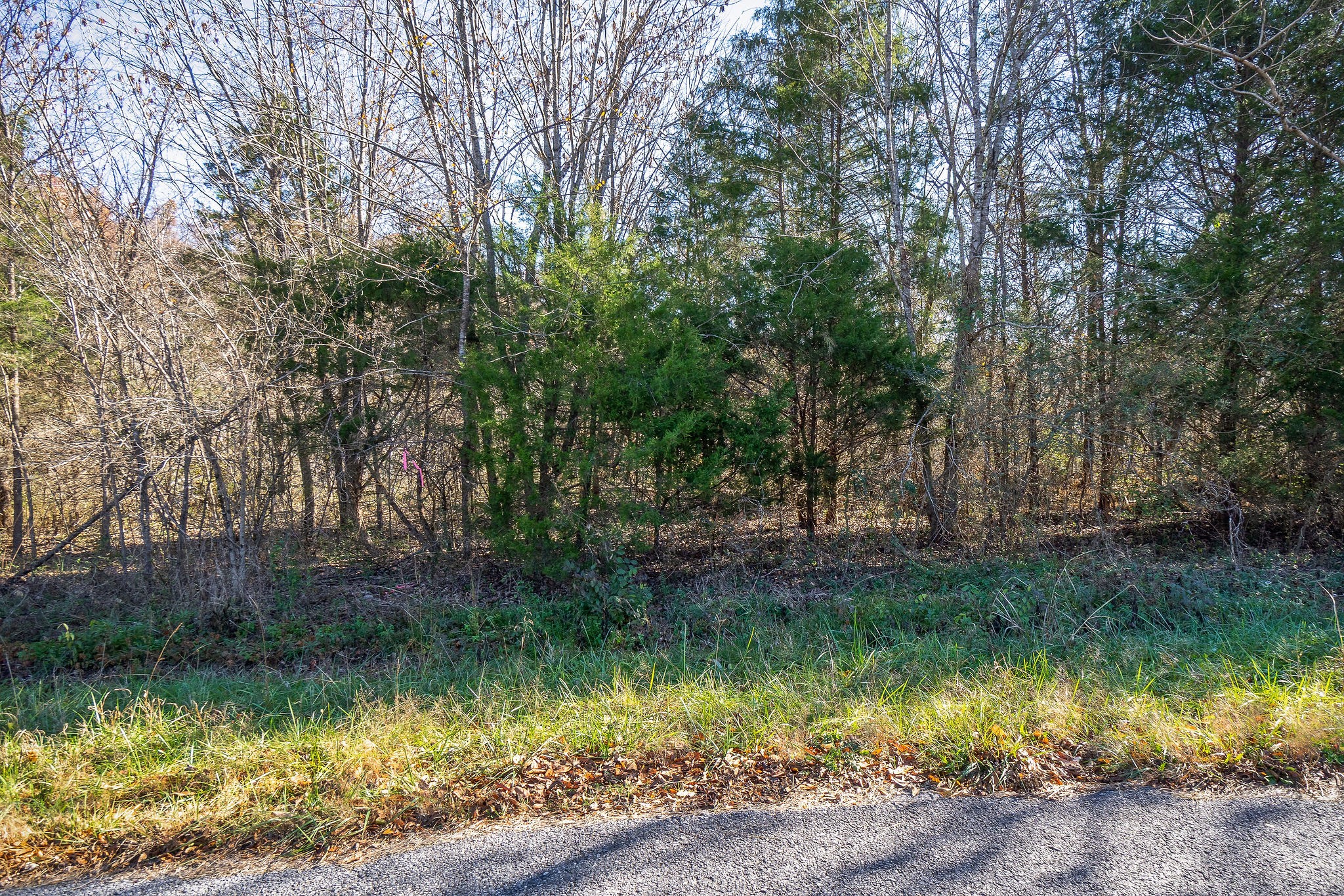 0 Simmons Road Sparta, TN 38583 - Photo 4 of 18 a view of a lake view with a garden