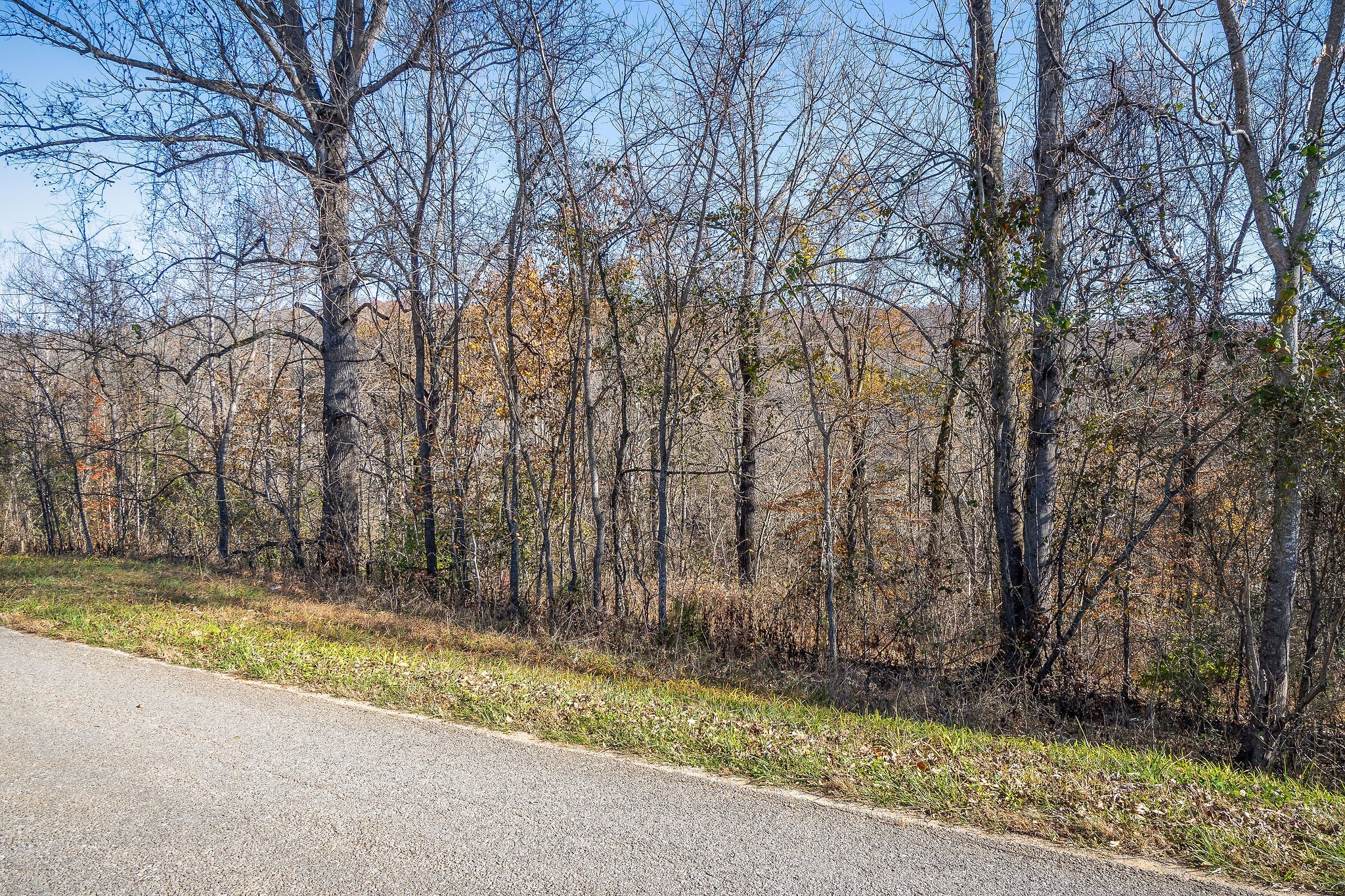 0 Simmons Road Sparta, TN 38583 - Photo 5 of 18 a view of a yard with large trees