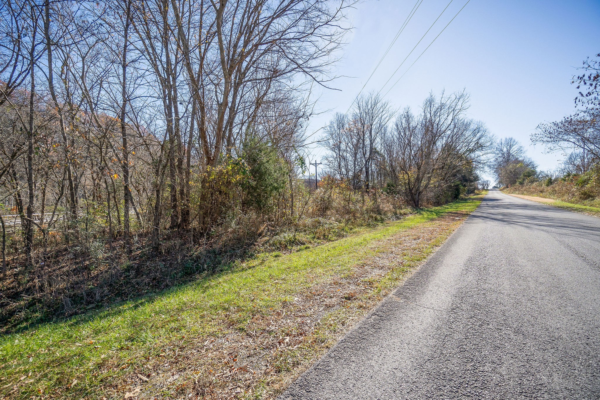 0 Simmons Road Sparta, TN 38583 - Photo 8 of 18 a view of a yard with plants and trees