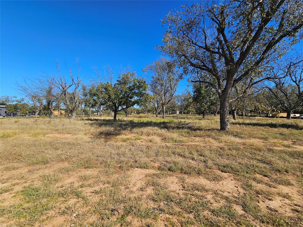 1148 West Landings Road North Granbury, TX 76049 - Photo 16 of 36 a view of outdoor space with yard and trees in the background