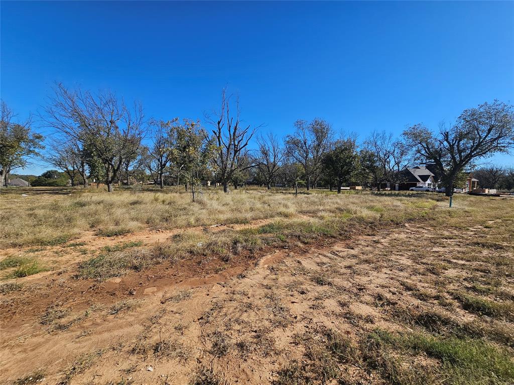 1148 West Landings Road North Granbury, TX 76049 - Photo 17 of 36 a view of dirt field with trees
