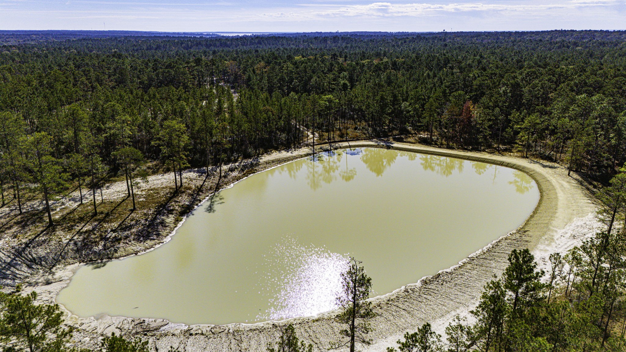 26 King Ranch Rd Road South Onalaska, TX 77360 - Photo 14 of 16 a view of a swimming pool and trees in the background