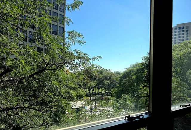 $125,000 | 5050 South East End Avenue, Unit 4B, Chicago, IL 60615