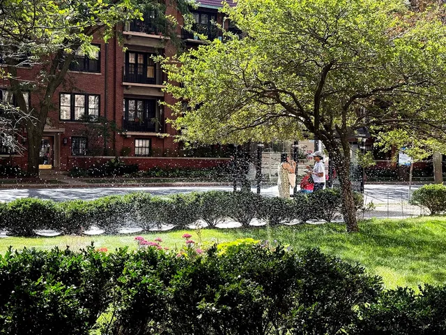 $125,000 | 5050 South East End Avenue, Unit 4B, Chicago, IL 60615