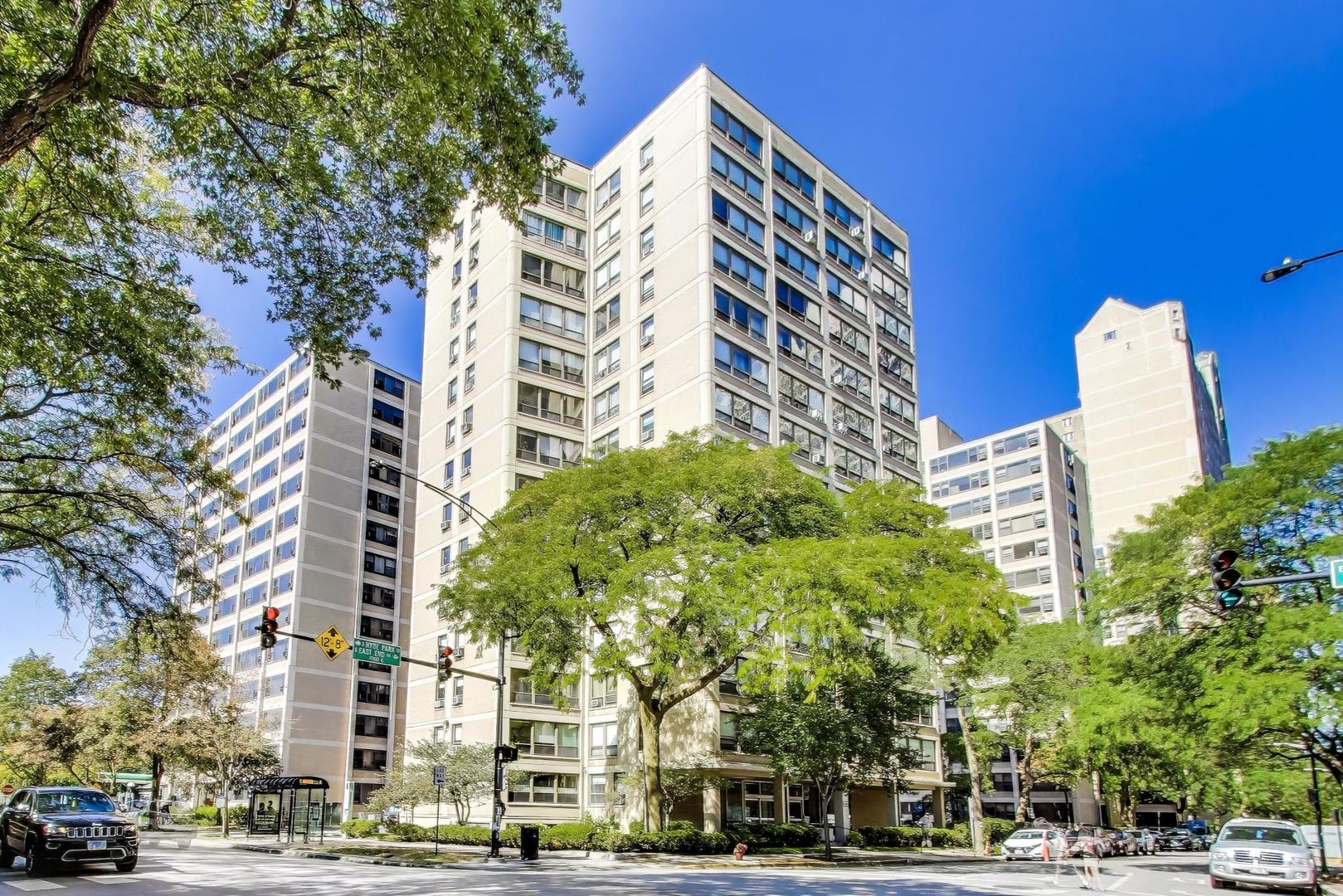 5050 South East End Avenue, Unit 4B Chicago, IL 60615 - Photo 22 of 24