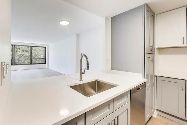 $125,000 | 5050 South East End Avenue, Unit 4B, Chicago, IL 60615