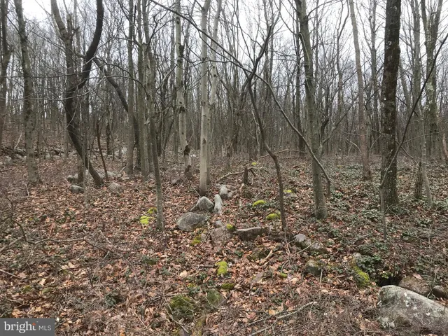 $22,000 | Lot# 367-368 Lot#367-368 Sparrow Lane, Jim Thorpe, PA 18229