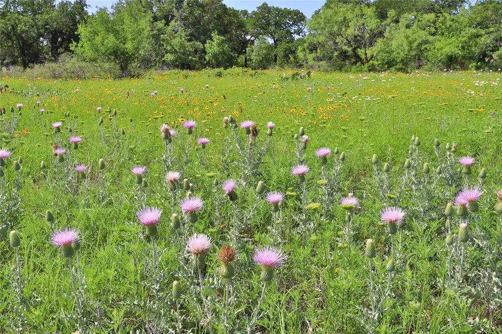 B26 Post Oak Road Gordon, TX 76453 - Photo 11 of 12
