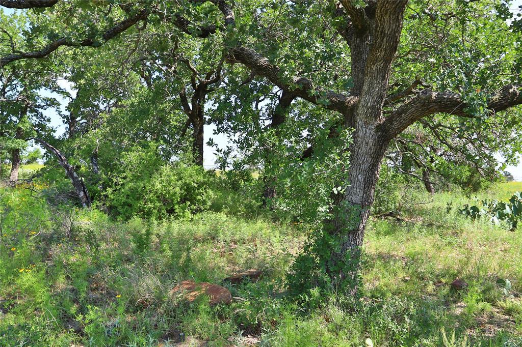 B26 Post Oak Road Gordon, TX 76453 - Photo 6 of 12
