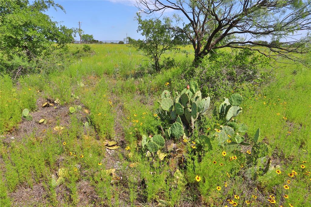 B26 Post Oak Road Gordon, TX 76453 - Photo 10 of 12