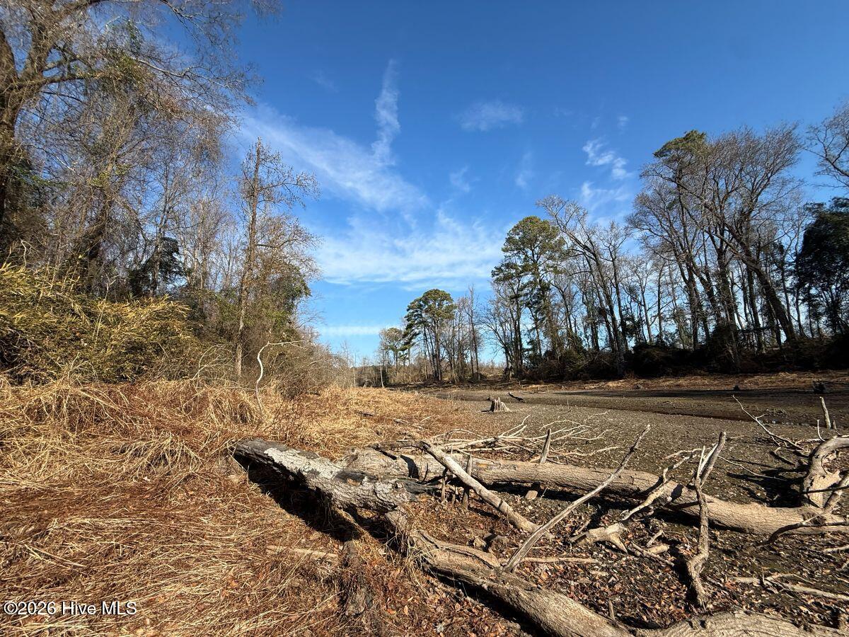 Lot 1 Euray Moore Road Warsaw, NC 28398 - Photo 21 of 54 17