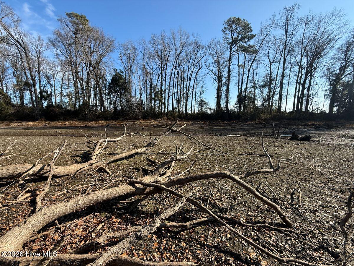 Lot 1 Euray Moore Road Warsaw, NC 28398 - Photo 22 of 54 18
