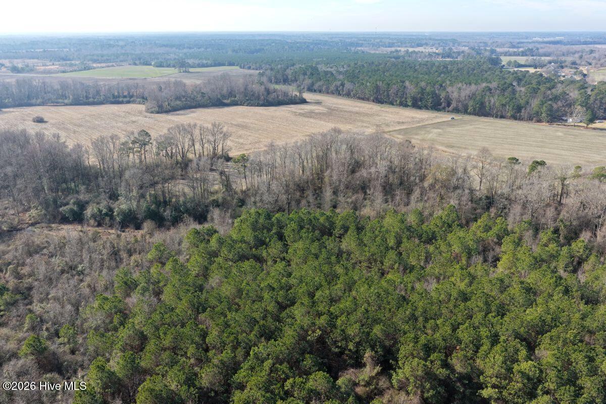 Lot 1 Euray Moore Road Warsaw, NC 28398 - Photo 25 of 54 21