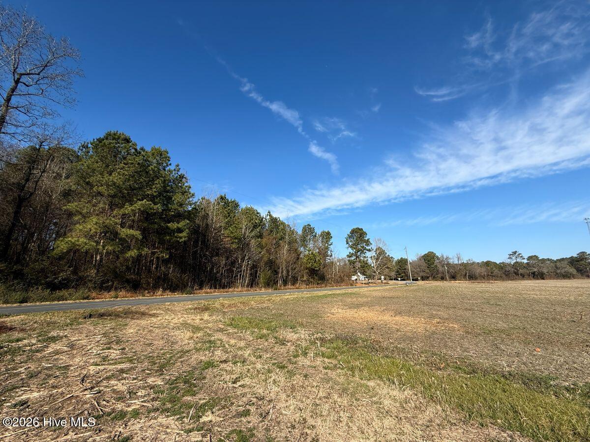 Lot 1 Euray Moore Road Warsaw, NC 28398 - Photo 36 of 54 32