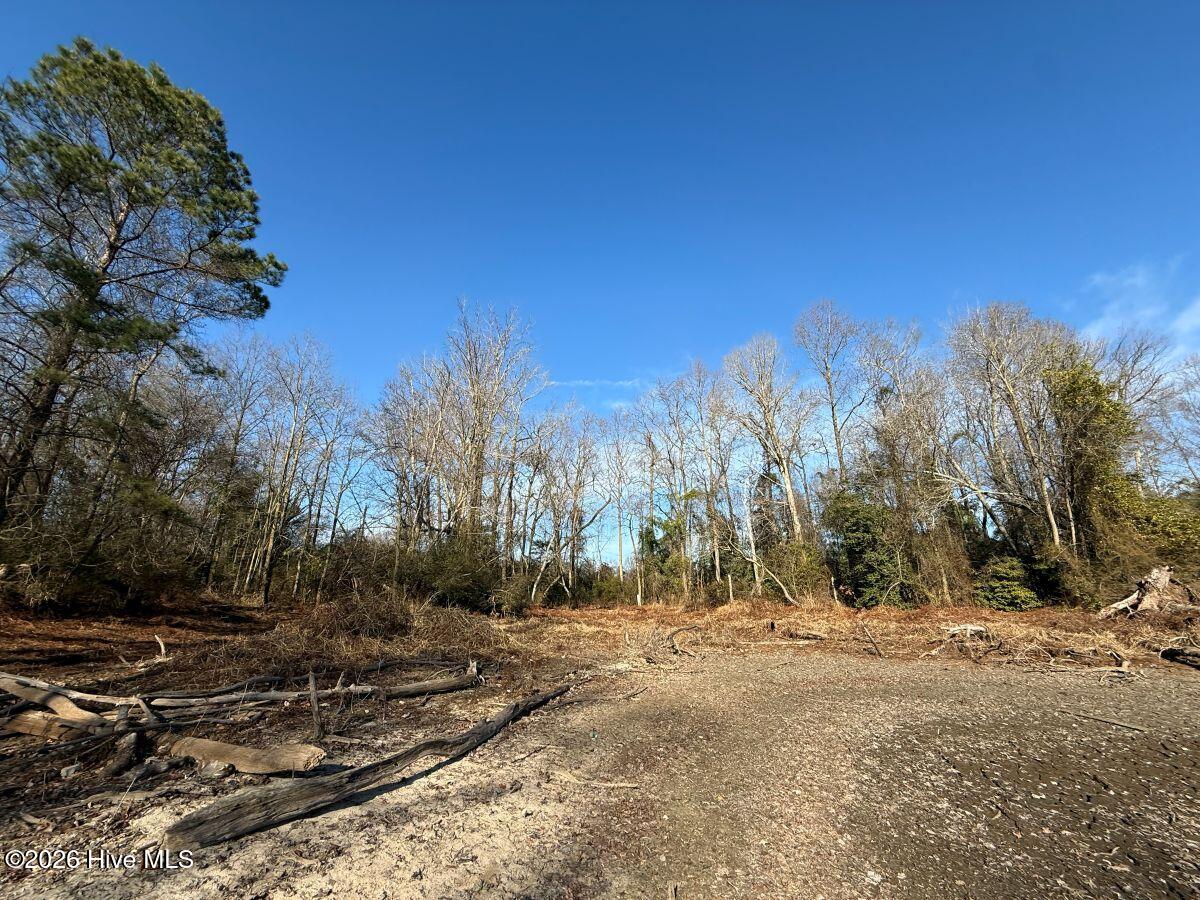 Lot 1 Euray Moore Road Warsaw, NC 28398 - Photo 49 of 54 46