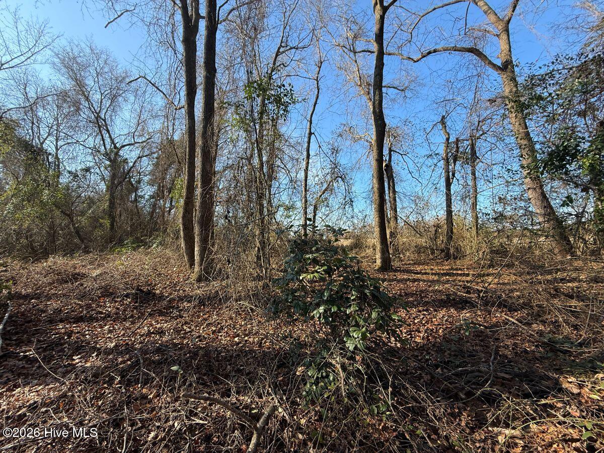 Lot 1 Euray Moore Road Warsaw, NC 28398 - Photo 50 of 54 47