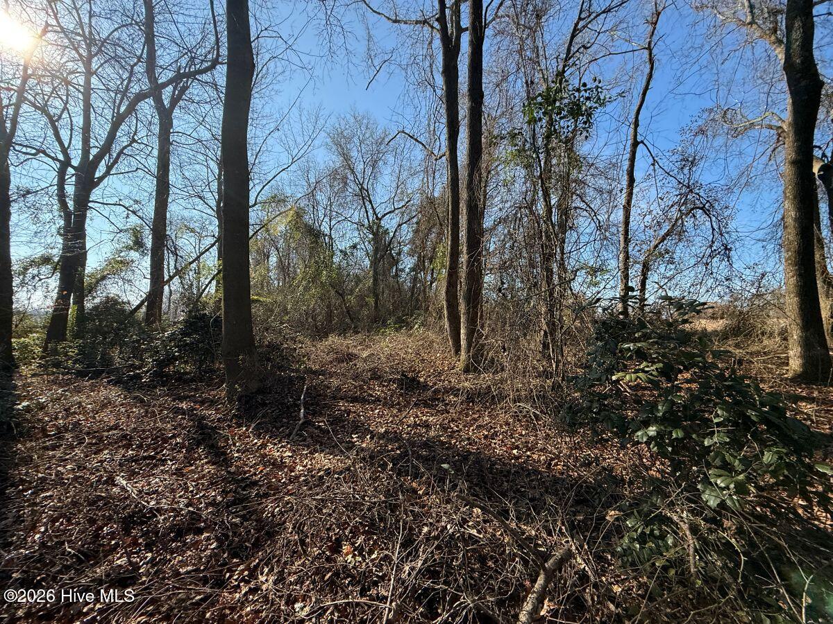 Lot 1 Euray Moore Road Warsaw, NC 28398 - Photo 51 of 54 48