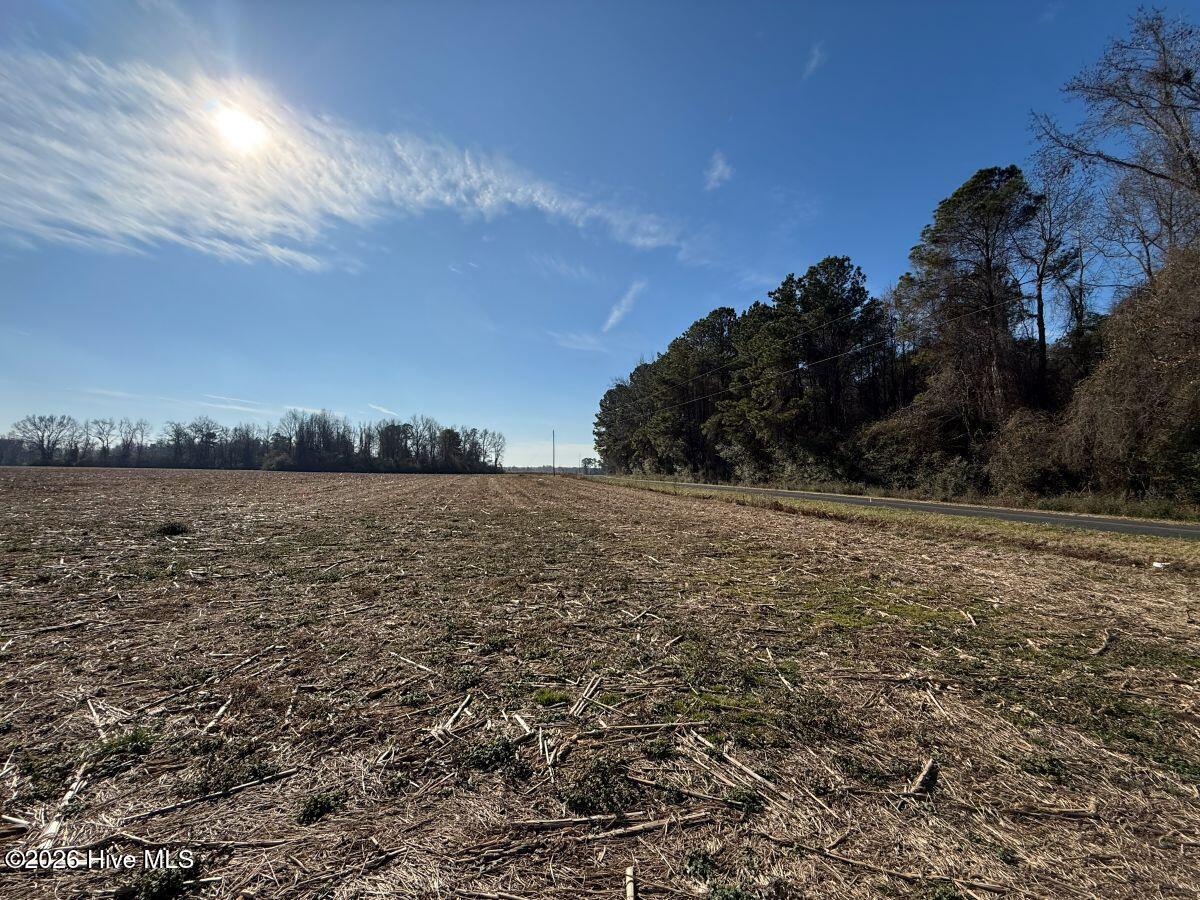 Lot 1 Euray Moore Road Warsaw, NC 28398 - Photo 10 of 54 7