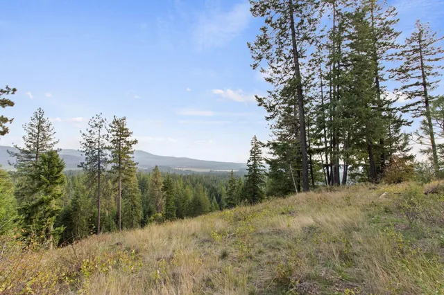 $2,495,000 | 1521 North Willms Road, Elk, WA 99009