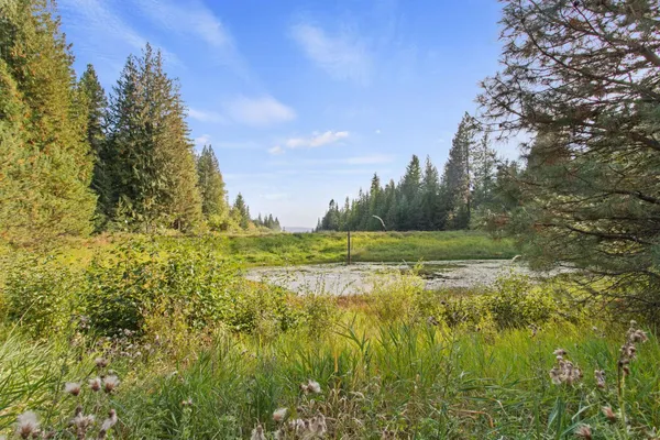 $2,495,000 | 1521 North Willms Road, Elk, WA 99009