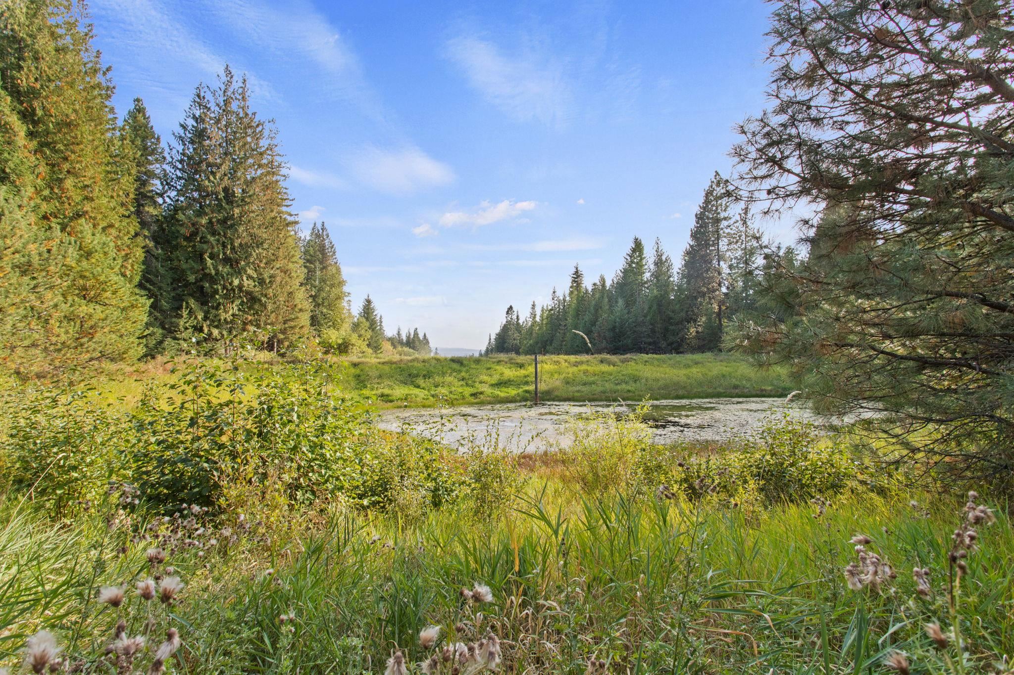 1521 North Willms Road Elk, WA 99009 - Photo 20 of 50