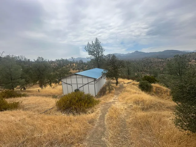 a view of a yard in front of the house