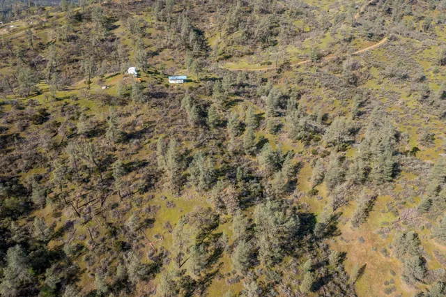 a view of a yard of a house