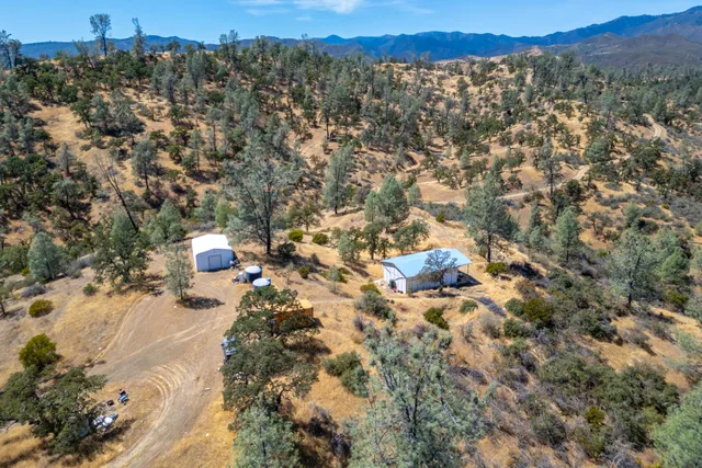 a view of a yard with a tree