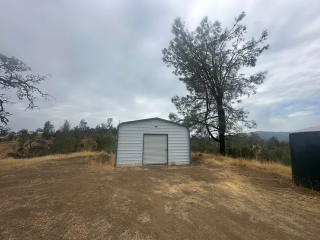 a view of a row of palm trees in front of a house