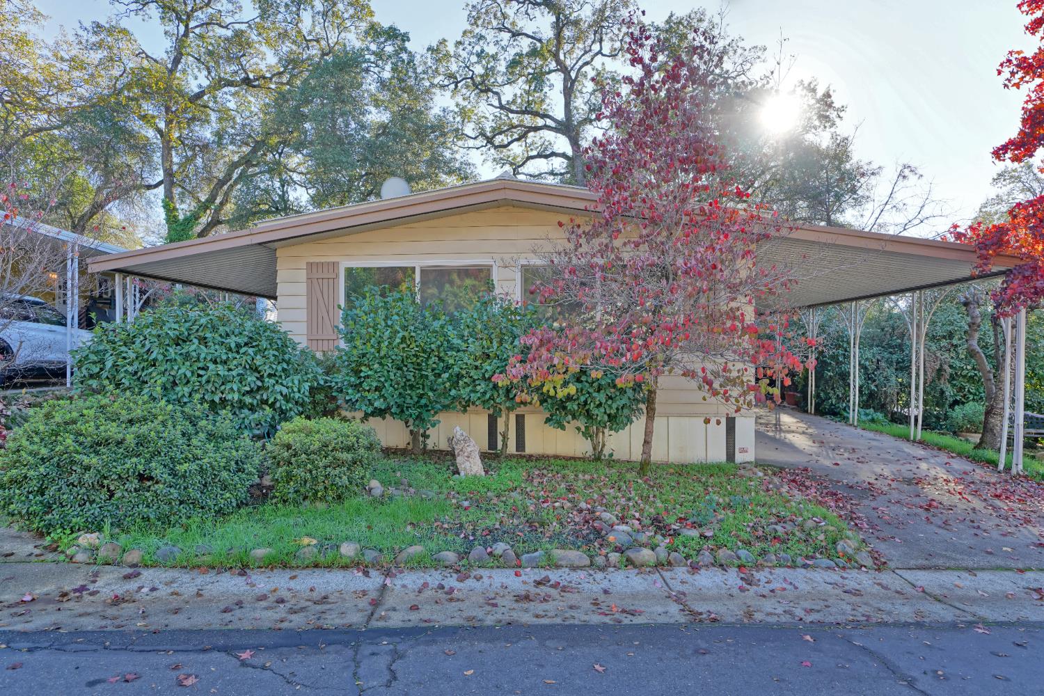 a front view of a house with a yard and potted plants