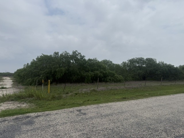 21912 County Road 798 Mathis, TX 78368 - Photo 7 of 7