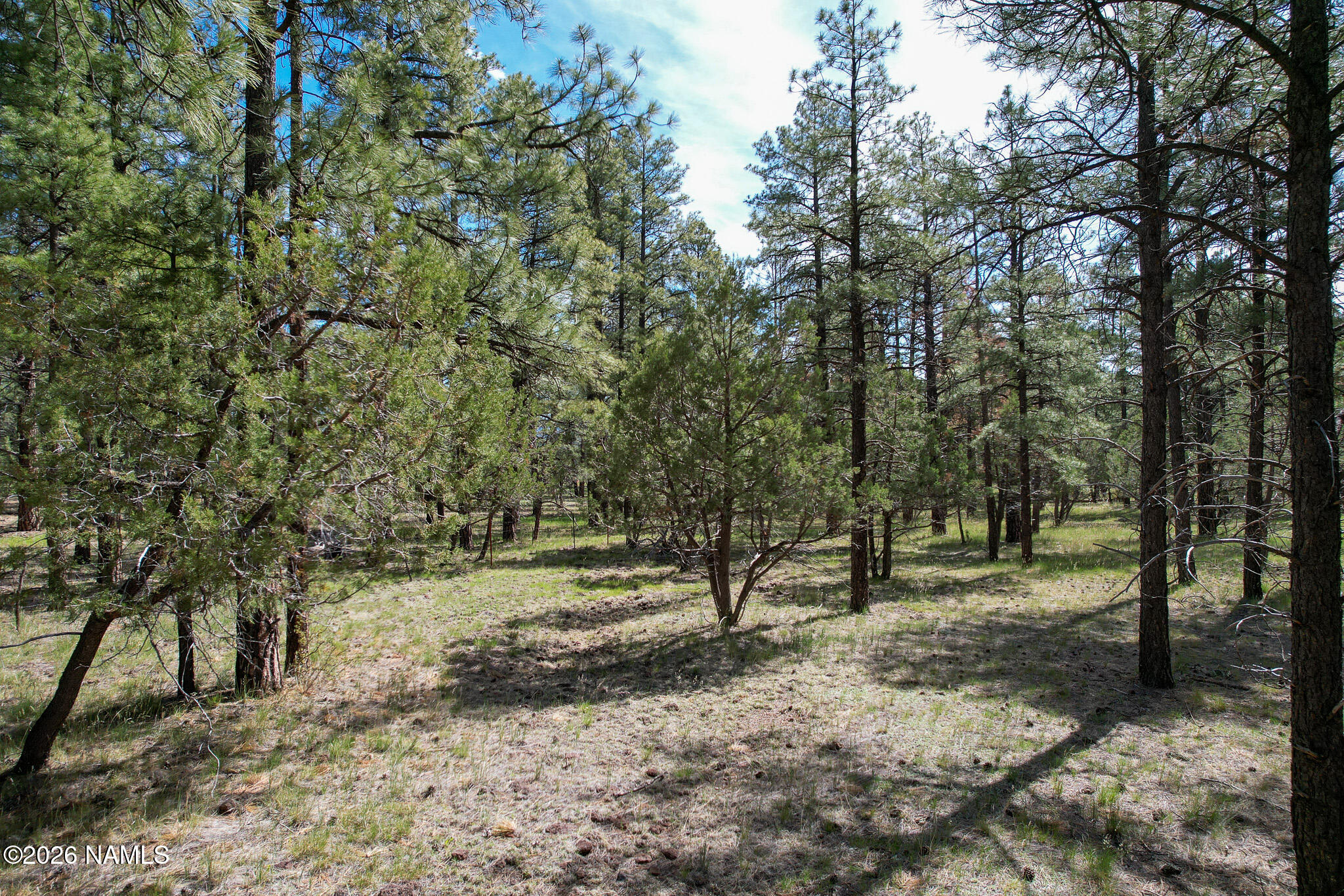 581 Cooper Ranch Road, Unit LOT 4 Williams, AZ 86046 - Photo 3 of 14 3