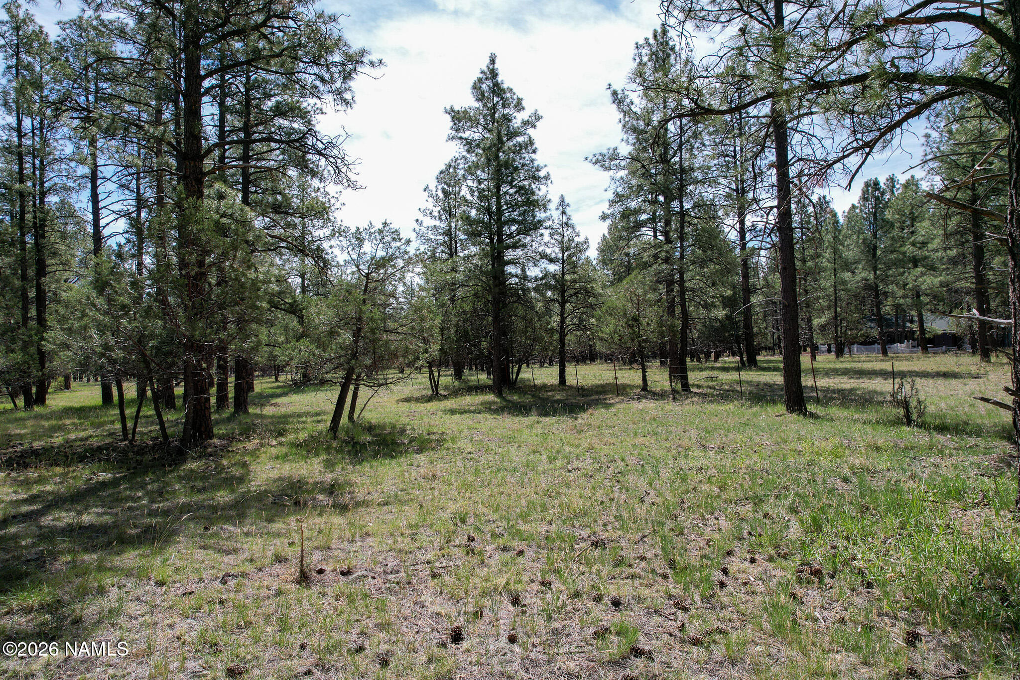 581 Cooper Ranch Road, Unit LOT 4 Williams, AZ 86046 - Photo 5 of 14 5