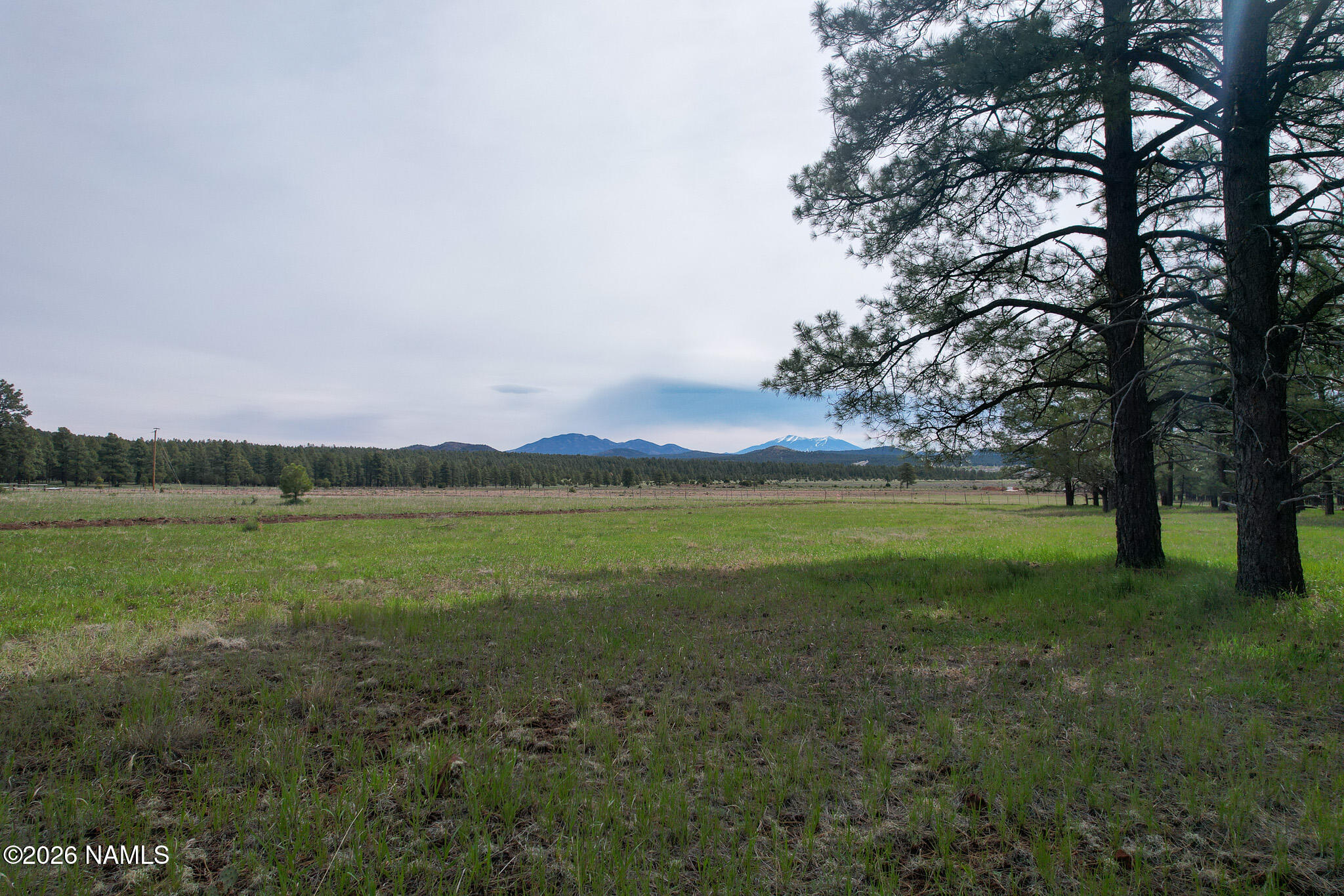 581 Cooper Ranch Road, Unit LOT 4 Williams, AZ 86046 - Photo 9 of 14 9