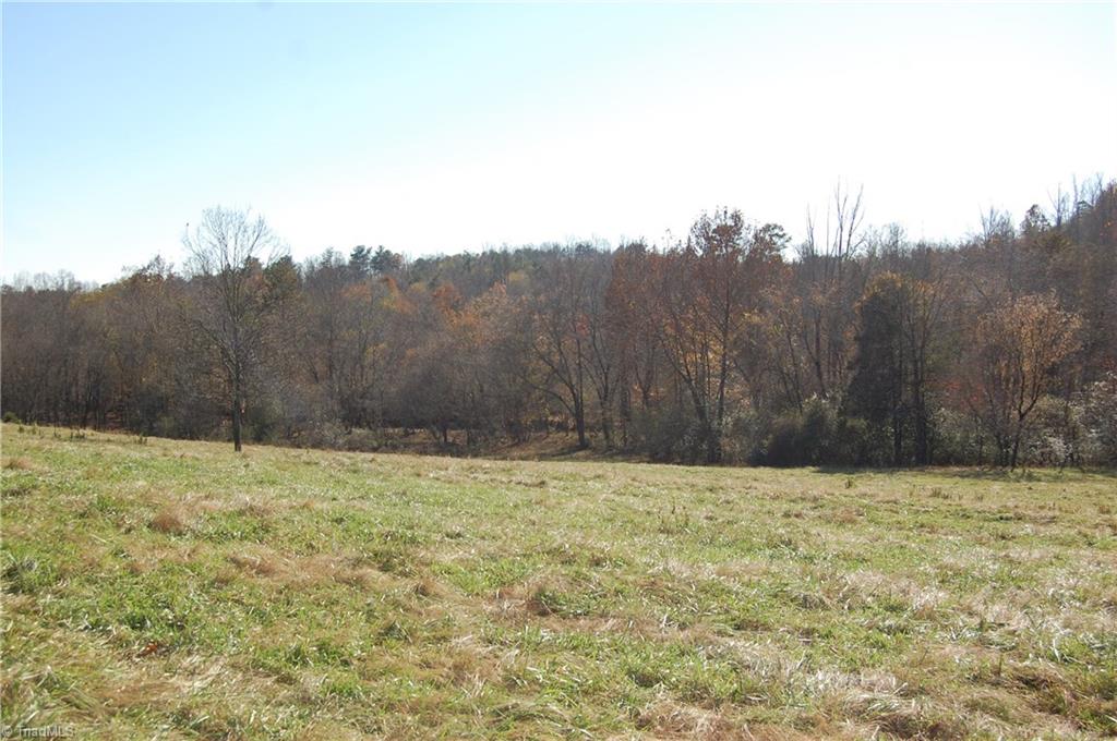 3224 Mining Ridge Church Road State Road, NC 28676 - Photo 2 of 26 NICE FIELDS IDEAL FOR CATTLE, HORSES OR VINEYARDS