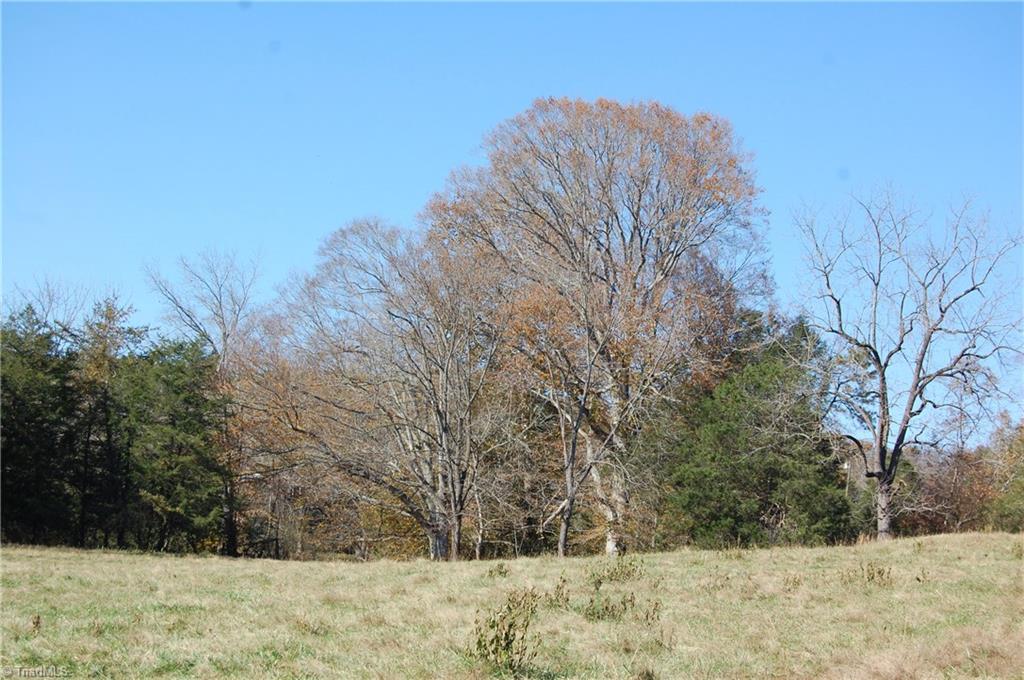 3224 Mining Ridge Church Road State Road, NC 28676 - Photo 9 of 26 Gallery Image 9